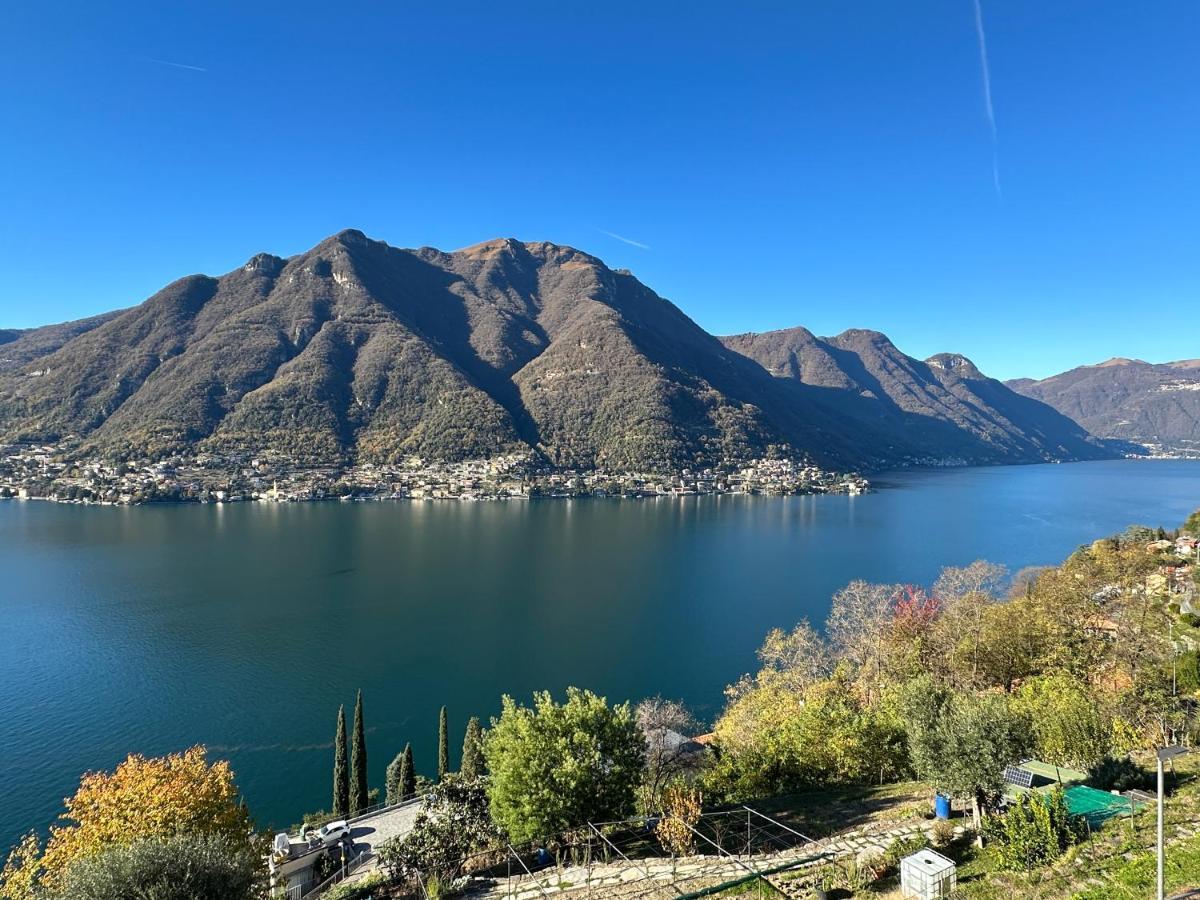 La Casa Del Mastro - Como Lake Pognana Lario Exterior foto